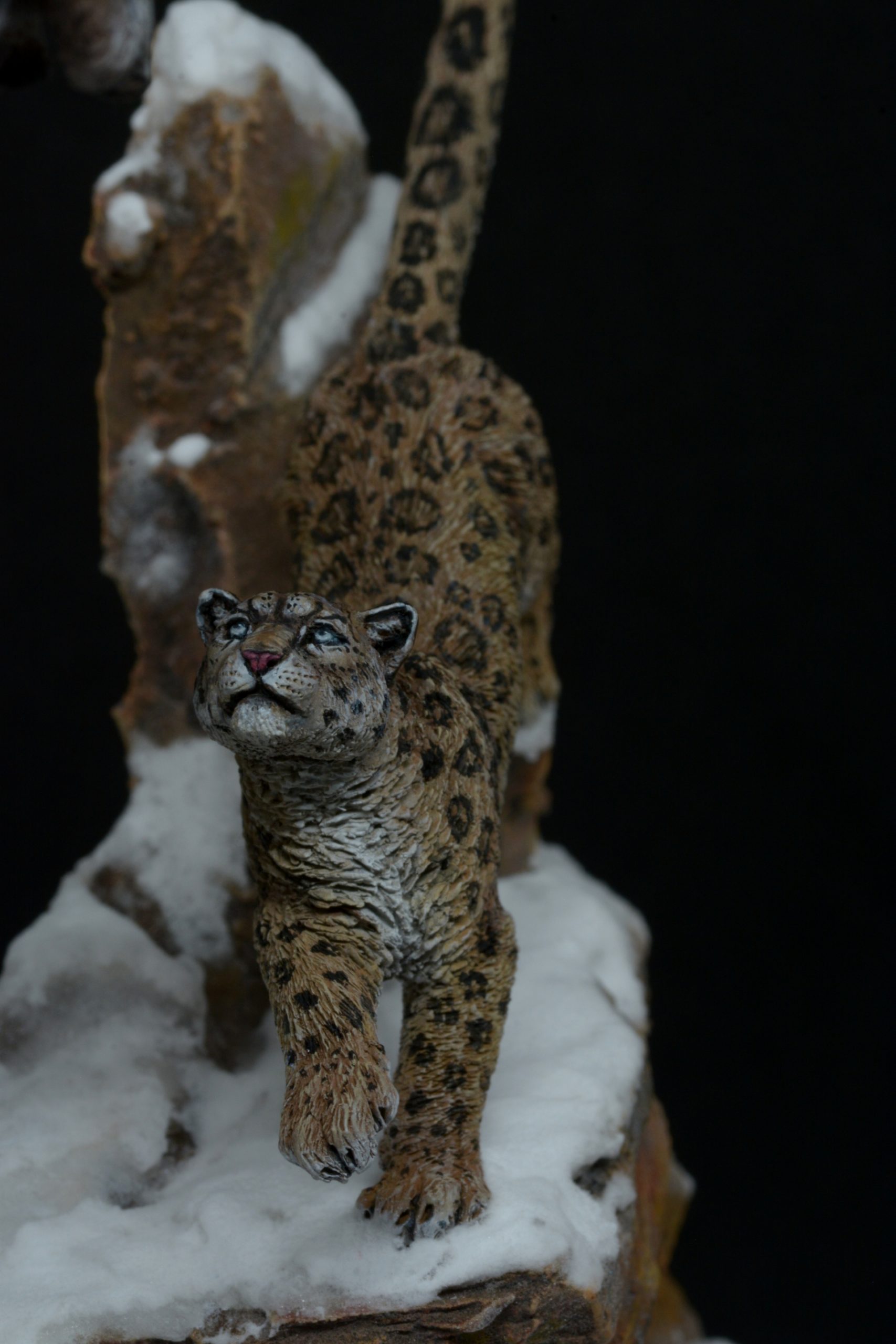 Caza de Leopardo de las nieves