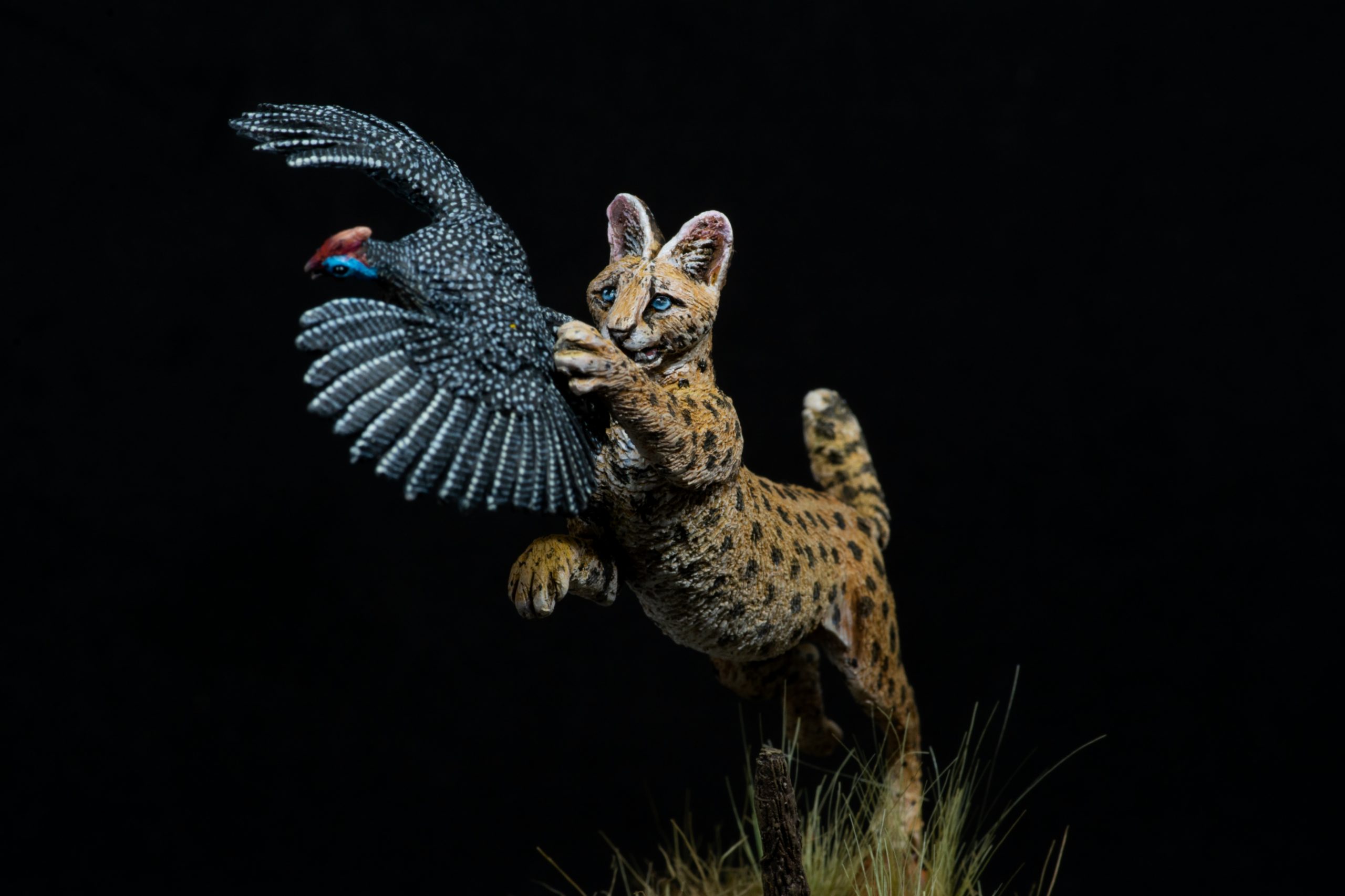 Leopardo y Serval